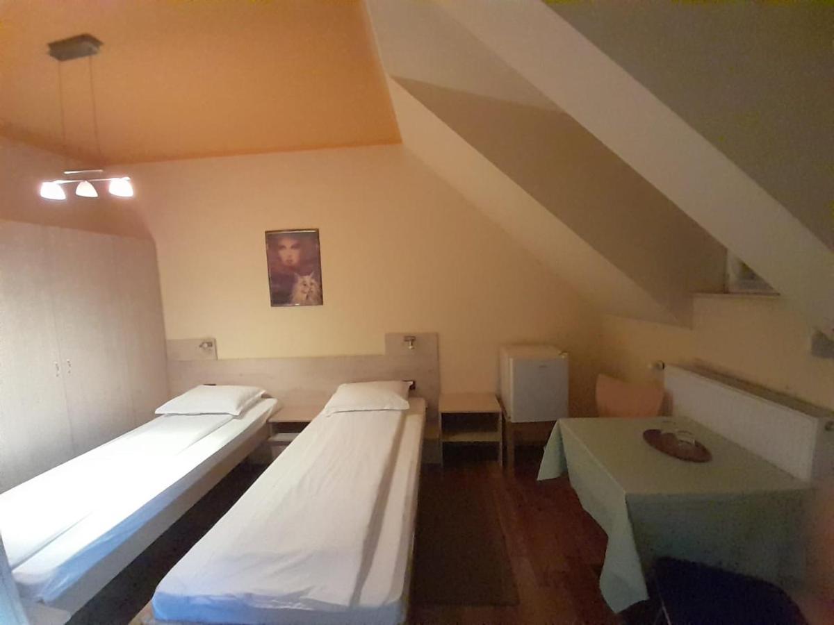 Pensiunea Zodiac Timisoara Luaran gambar